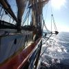 Tall Ship Races 2018