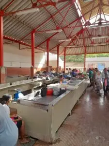 Local fish market in Cape Verde – fresh seafood preparation