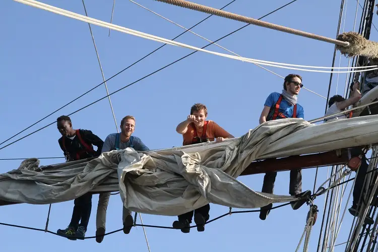 Tall Ship Races on the Morgenster