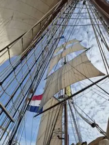 Morgenster trying to cathch as much wind as possible.