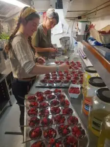 Crew preparing fresh desserts in the galley of Tall Ship Morgenster during Hanse Sail 2026